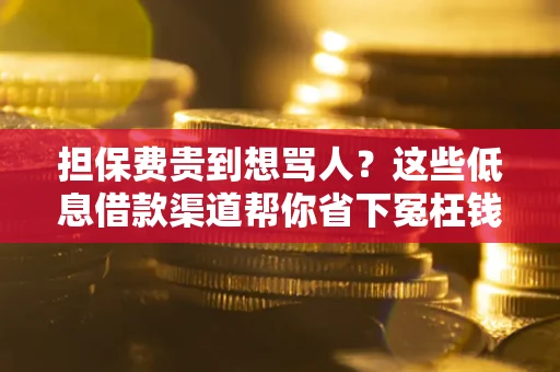 济南担保费贵到想骂人？这些低息借款渠道帮你省下冤枉钱
