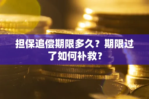 济南担保追偿期限多久？期限过了如何补救？