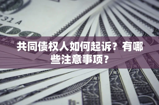 济南共同债权人如何起诉？有哪些注意事项？